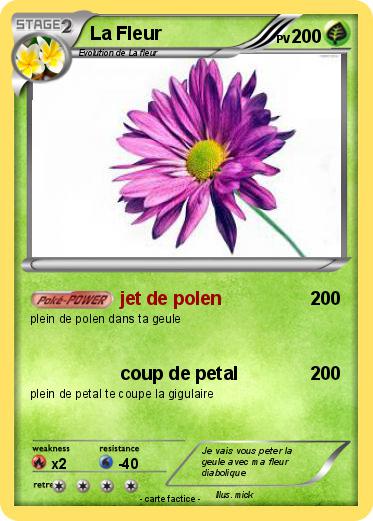 Pokemon La Fleur
