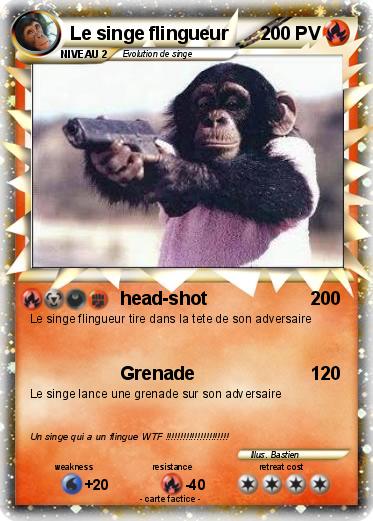 Pokemon Le singe flingueur