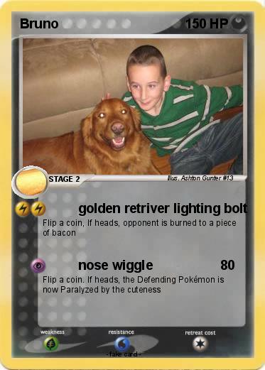 Pokemon Bruno