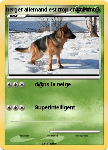 Pokemon berger allemand est trop cr@quant