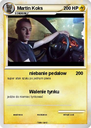 Pokemon Martin Koks