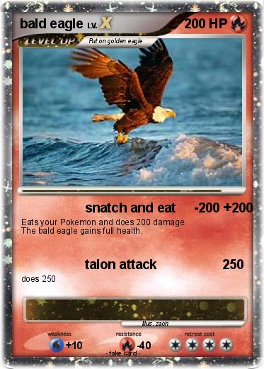 Pokemon bald eagle