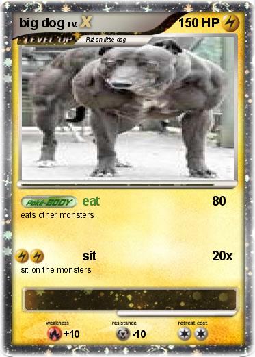 Pokemon big dog