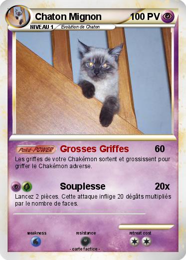 Pokemon Chaton Mignon