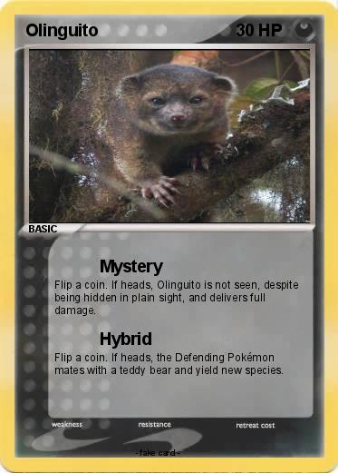 Pokemon Olinguito