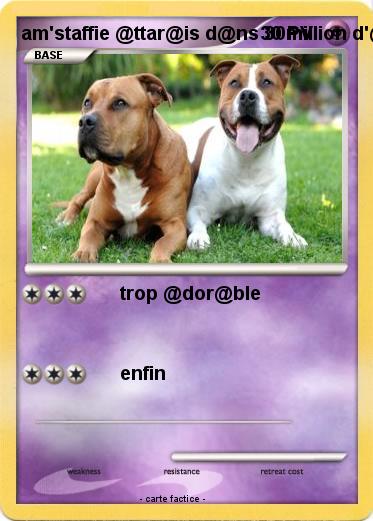 Pokemon am'staffie @ttar@is d@ns 30million d'@mis n°360