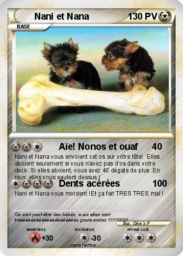 Pokemon Nani et Nana