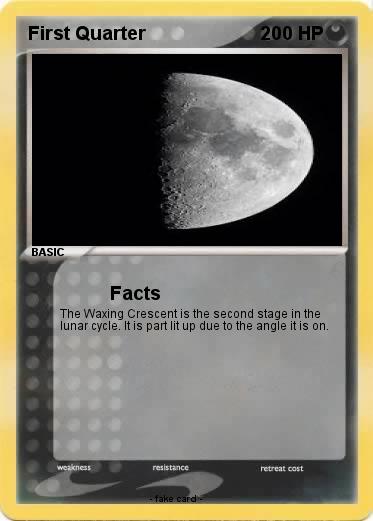 Pokemon First Quarter