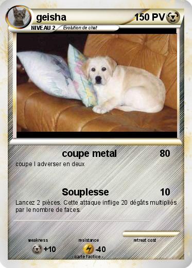 Pokemon geisha