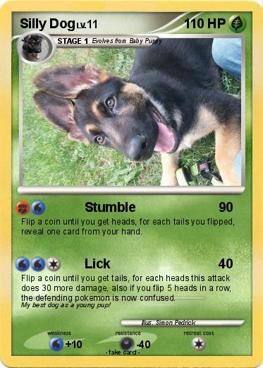 Pokemon Silly Dog