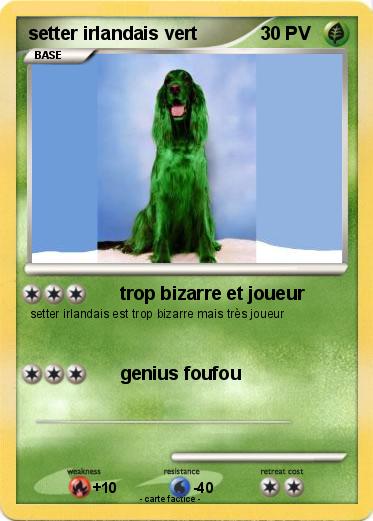 Pokemon setter irlandais vert