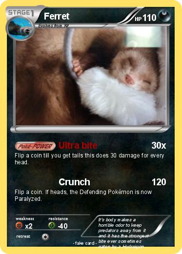 Pokemon Ferret