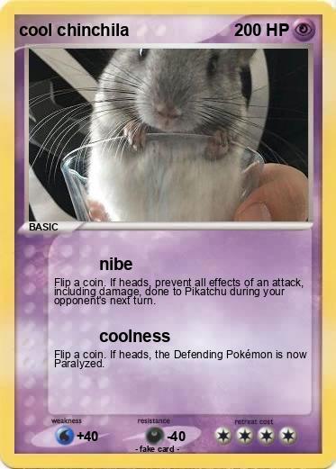 Pokemon cool chinchila