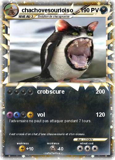Pokemon chachovesourioiso