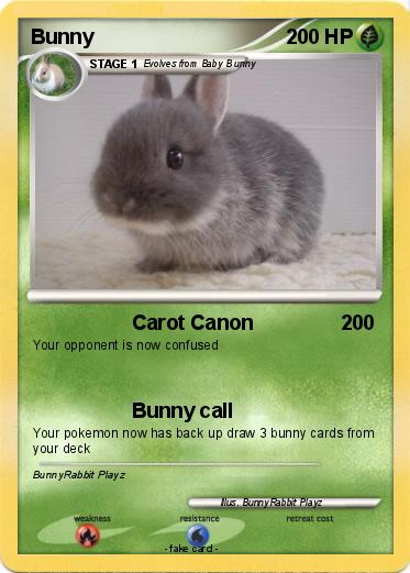 Pokemon Bunny