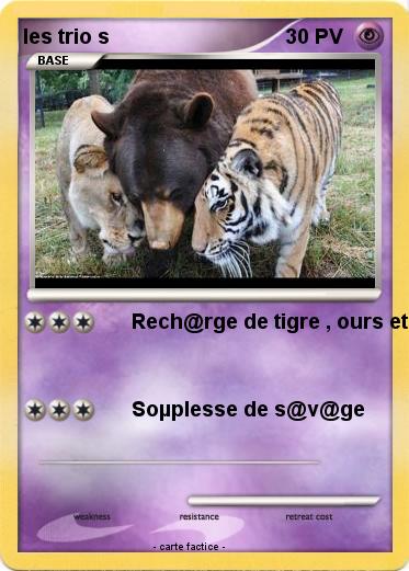 Pokemon les trio s