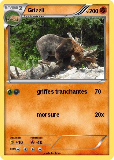 Pokemon Grizzli