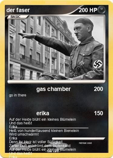 Pokemon der faser