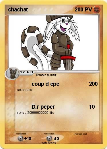 Pokemon chachat