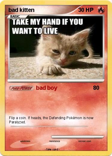 Pokemon bad kitten