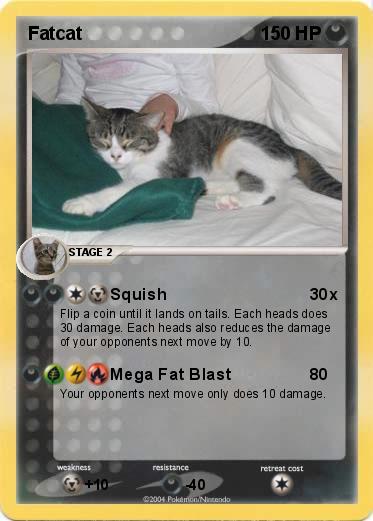 Pokemon Fatcat