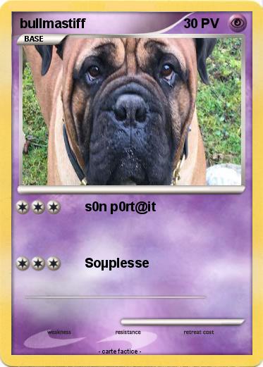 Pokemon bullmastiff