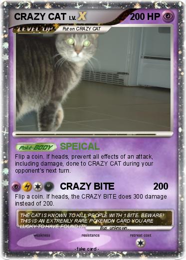 Pokemon CRAZY CAT