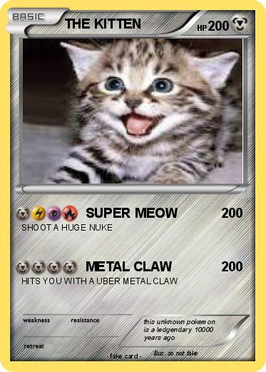 Pokemon THE KITTEN