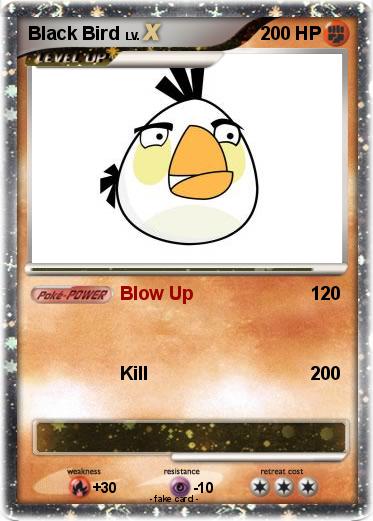 Pokemon Black Bird