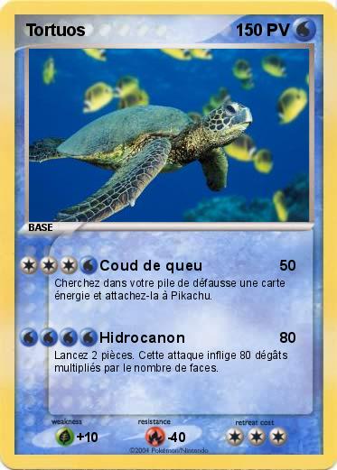 Pokemon Tortuos