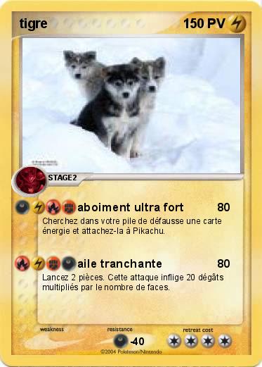 Pokemon tigre