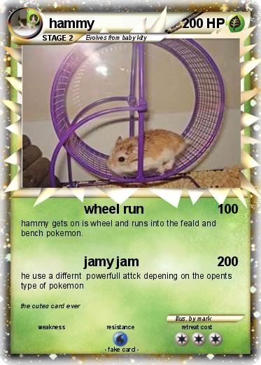 Pokemon hammy