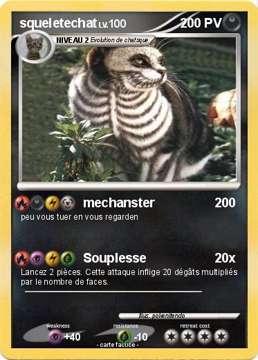 Pokemon squeletechat
