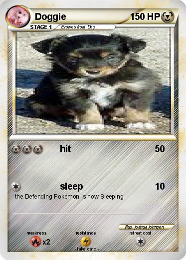 Pokemon Doggie