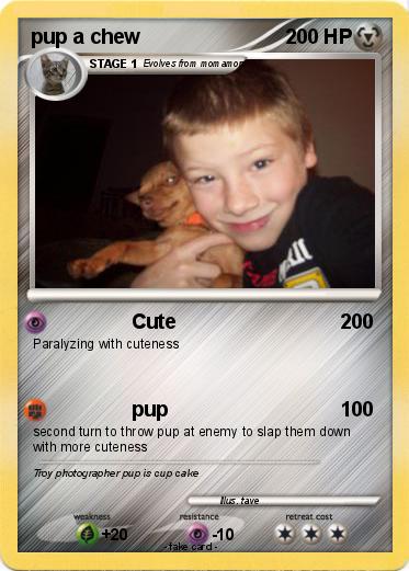Pokemon pup a chew