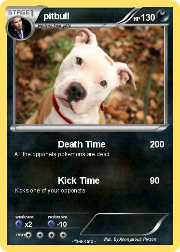 Pokemon pitbull