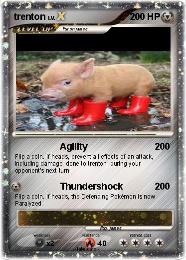 Pokemon trenton