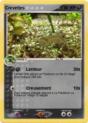 Pokemon Crevettes