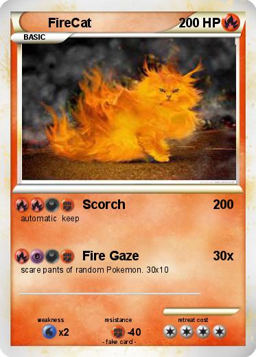 Pokemon FireCat