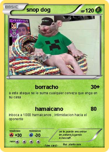 Pokemon snop dog