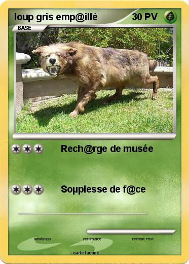 Pokemon loup gris emp@illé