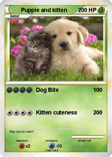 Pokemon Puppie and kitten