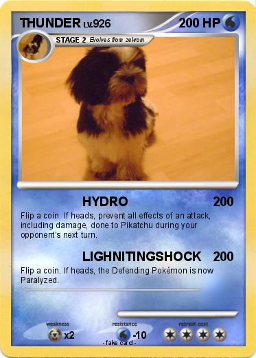 Pokemon THUNDER