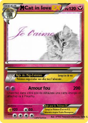 Pokemon Cat in love