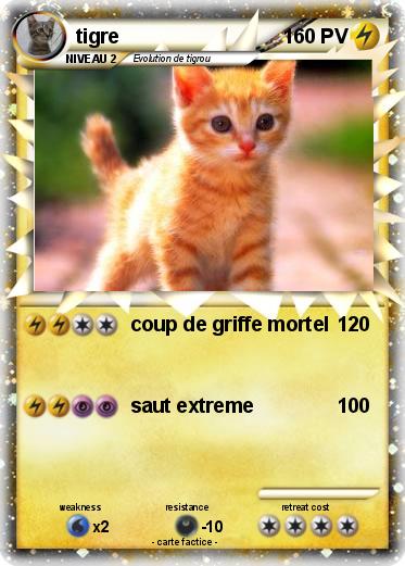 Pokemon tigre