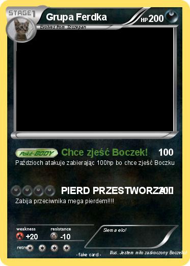 Pokemon Grupa Ferdka