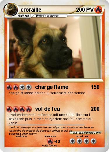 Pokemon croraille