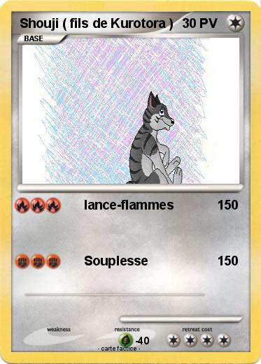 Pokemon Shouji ( fils de Kurotora )