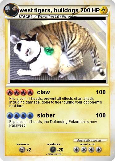 Pokemon west tigers, bulldogs