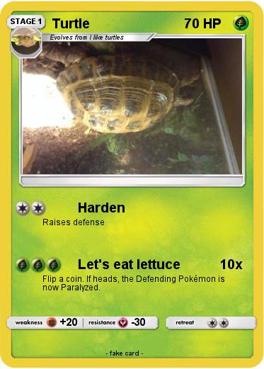 Pokemon Turtle